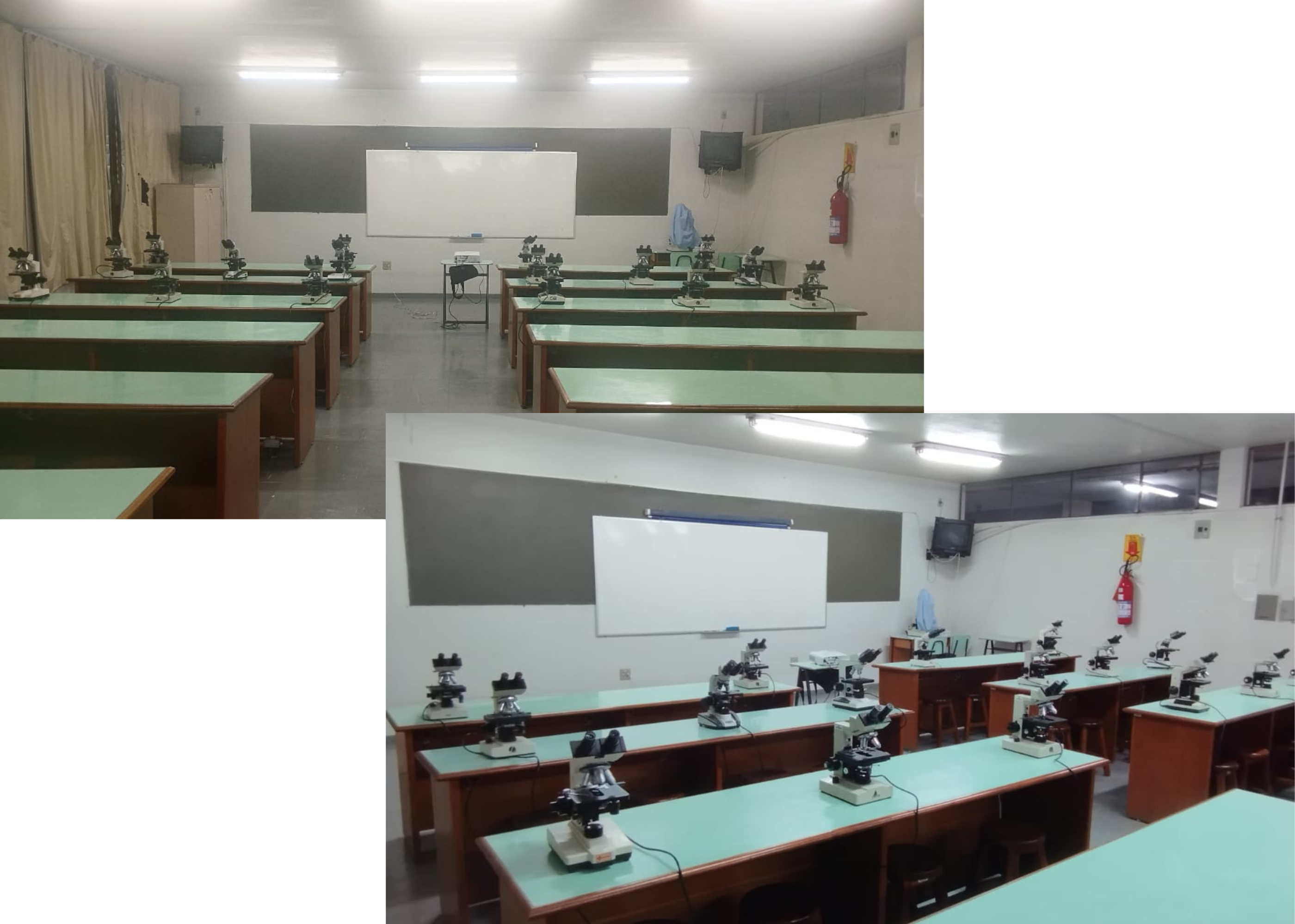 Laboratório de Microscopia